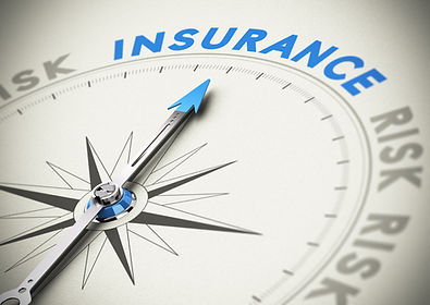 insurance-risk.jpeg
