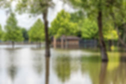 flood_bldg.jpeg