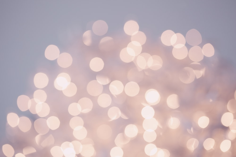 fairy lights