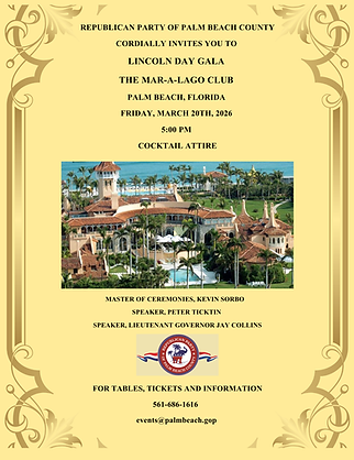 LDD FLYER FOR CC CAMPAIGN 12.5.png