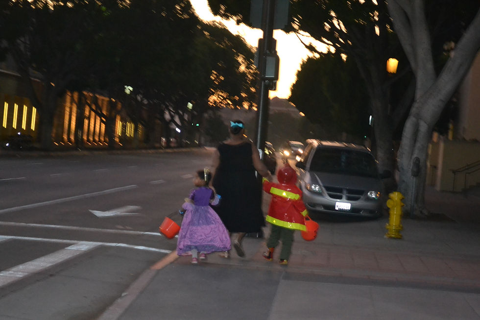 DSC_0350.JPG