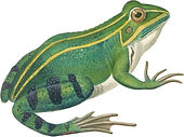 contes de la nature
