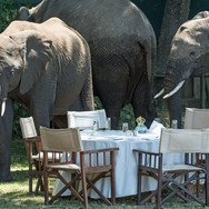 AFRICA