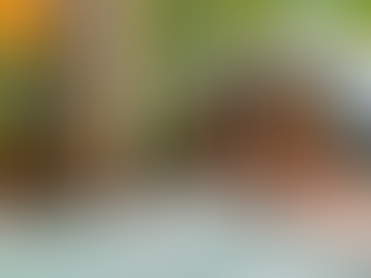 The U.S. Glamping Industry Enters Its Institutional Era