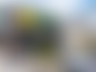 Dollar General vs. Dollar Tree: two empires diverge