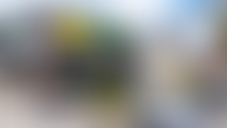 Dollar General vs. Dollar Tree: two empires diverge