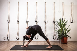 parsvotanasana forward bend.jpg