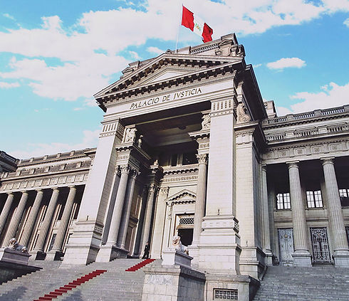 IMAGE-PALACIO-BIAGGI-ABOGADOS-INVERTED.jpg