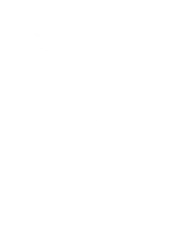 ALLY 036 - witte streep.png