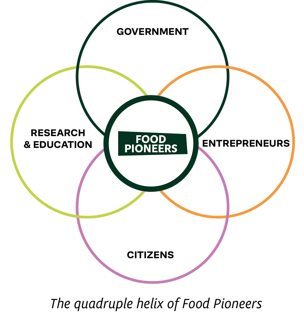 the quadruple helix in color II.png