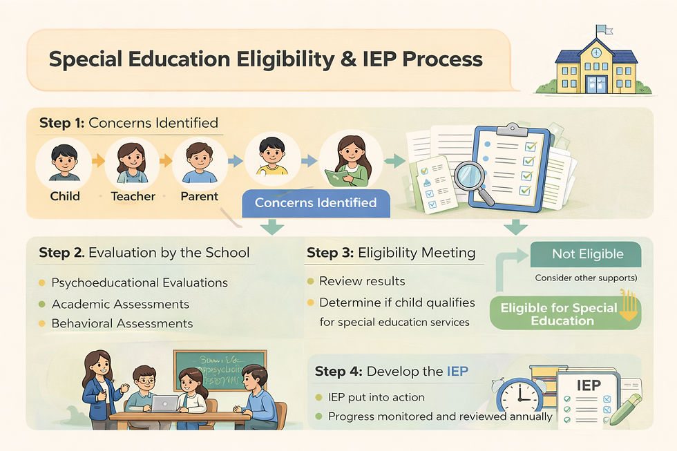 School eligibility is determined using disability categories defined in education law.