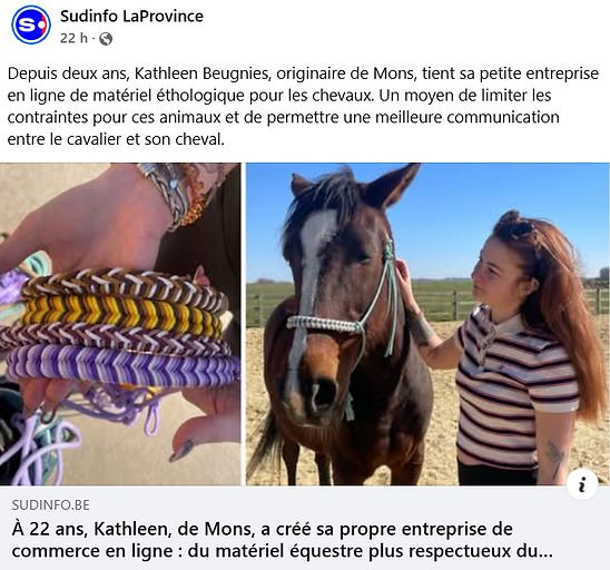 Capture d'écran 2025-03-24 114220.png