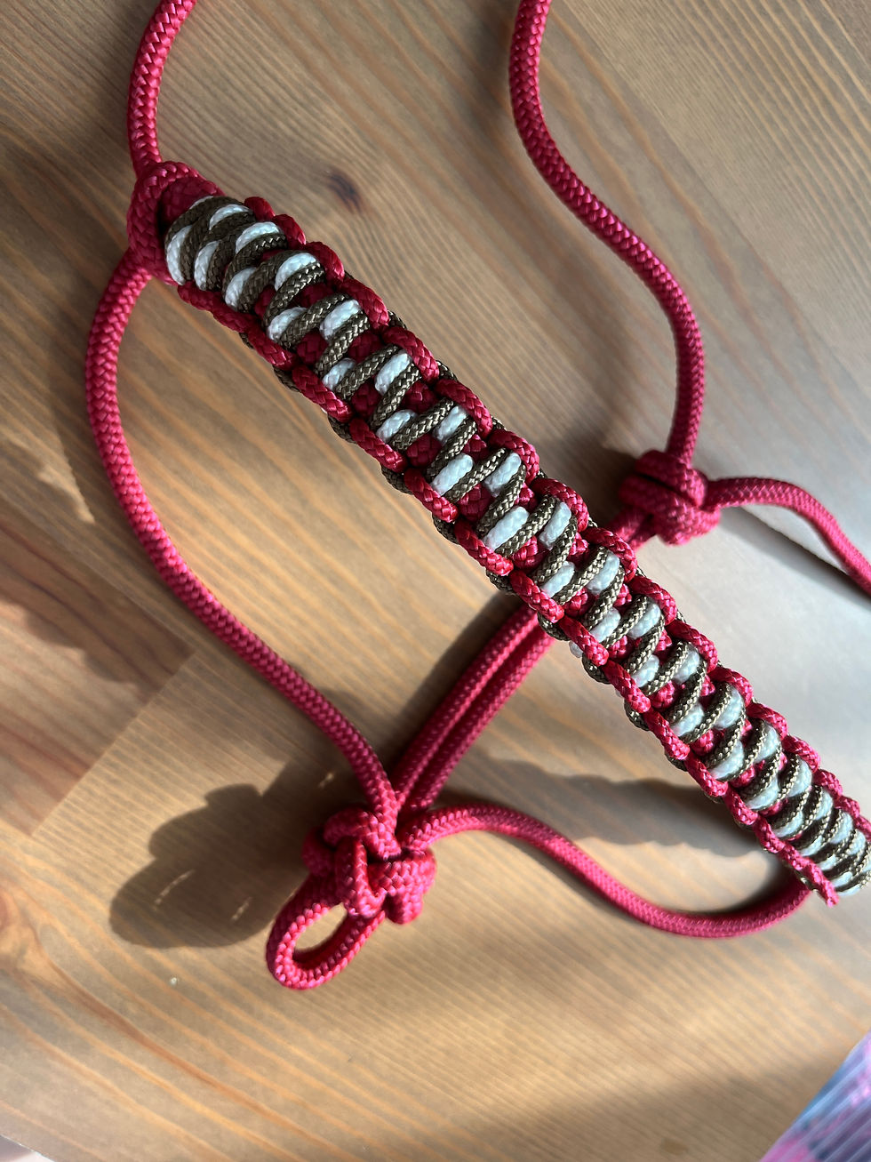 Miniature : Licol - Tressage Astra