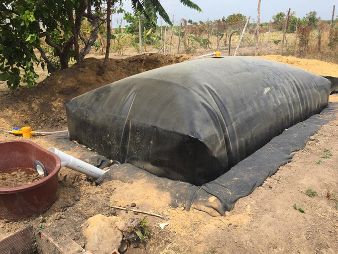 BIODIGESTORES PARA EL VICHADA