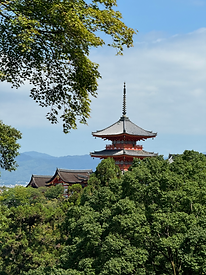 Image by Eleonora Albasi