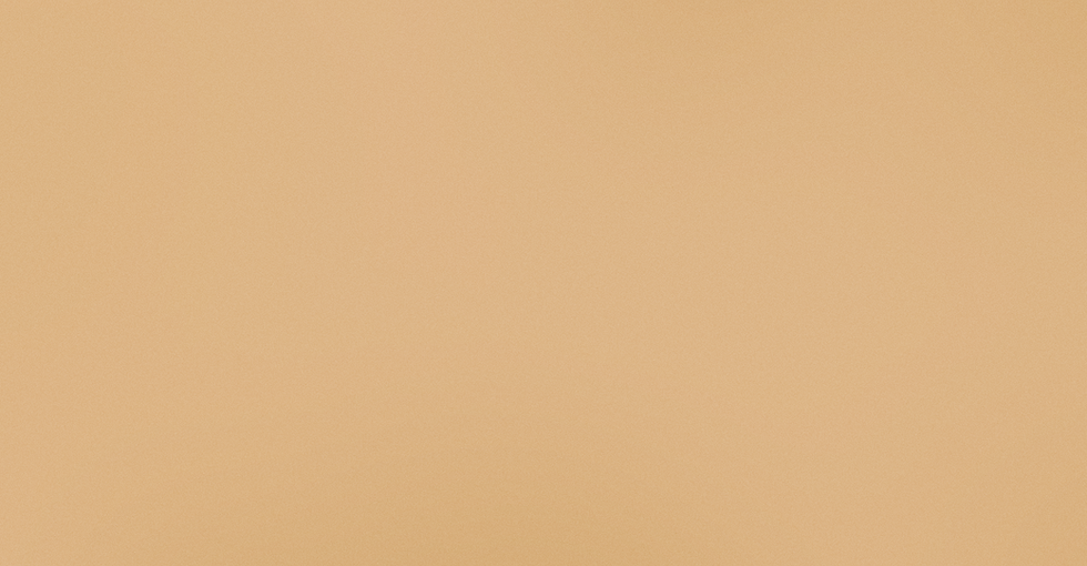 bg preço.png