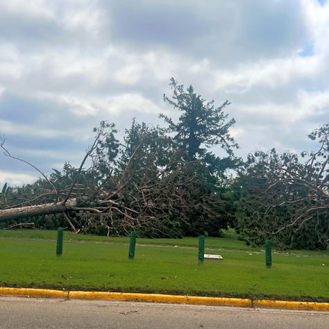 Help Us Document History: The Derecho of 2025