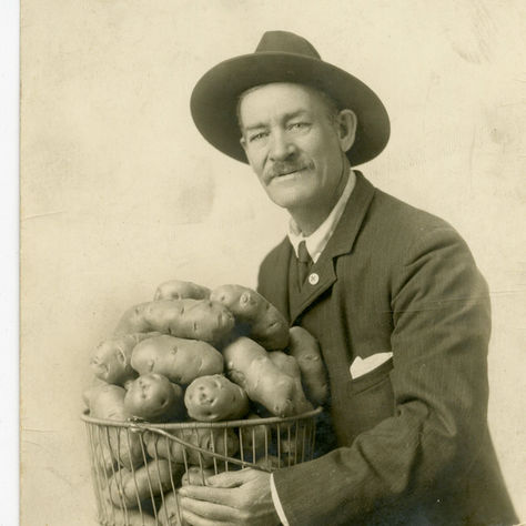 Digging into Community History: Beltrami County’s “Potato King” and the Vanishing Varieties of Yesteryear