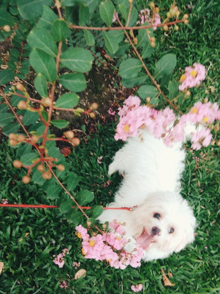 Thứ Tư, 8 tháng 12, 2021