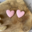 Miniature : INES rose pastel