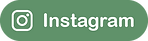 social iconArtboard 6 copy.png