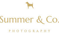 Summerco-logo-horizontal_gold.jpg