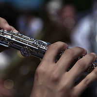 Flute