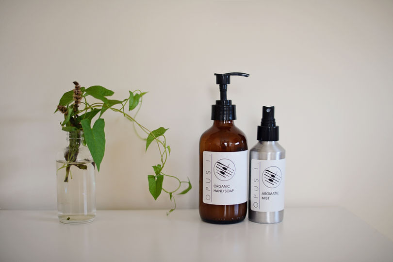 2 bottles of bath products and a clear vase with green vine clippings.