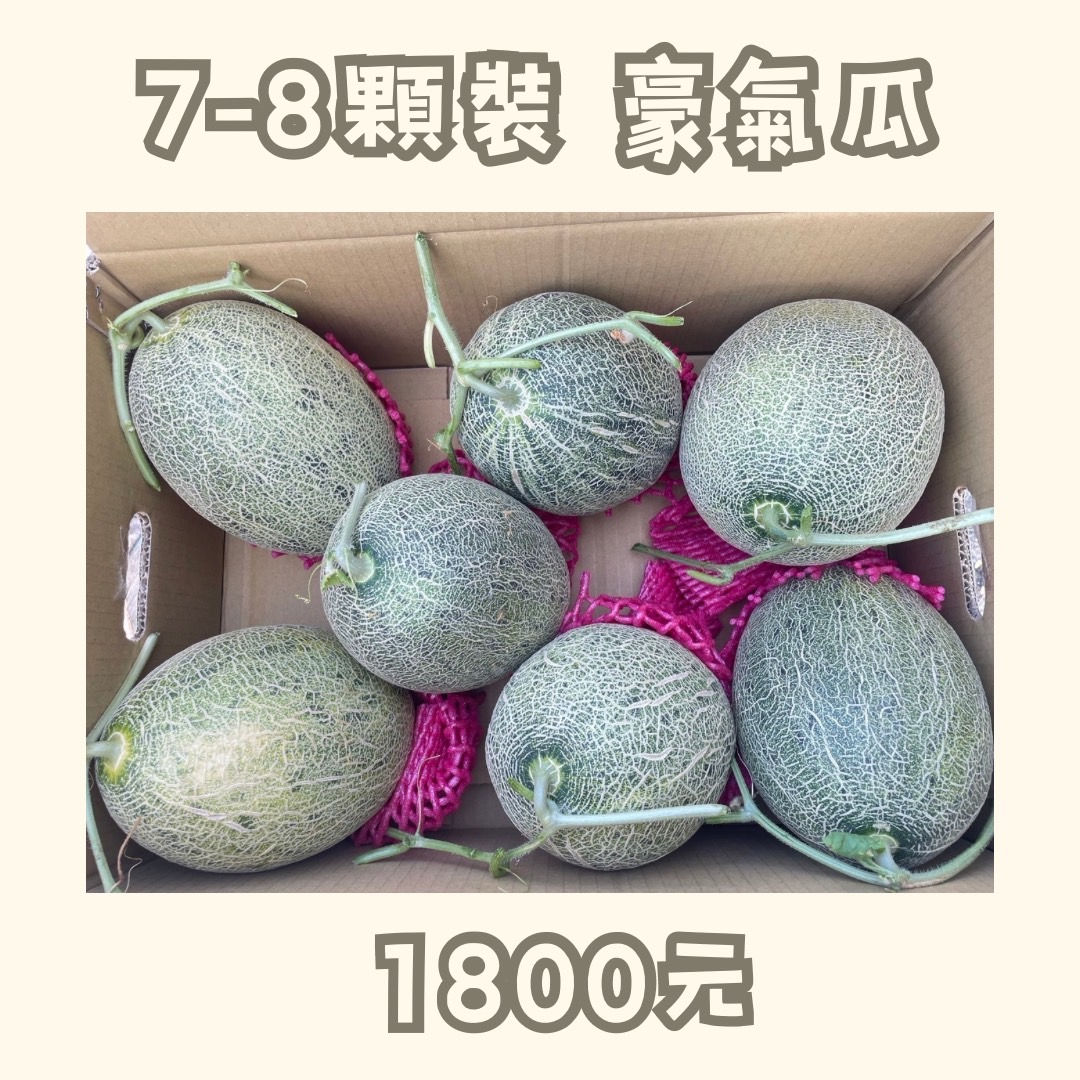 7-8個裝👊豪氣瓜