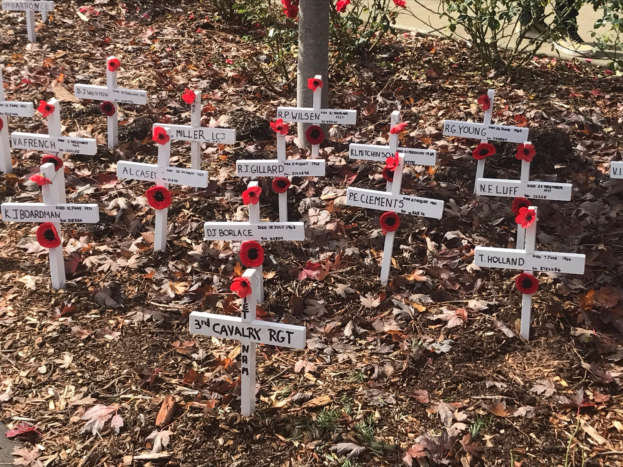 ANZAC 13