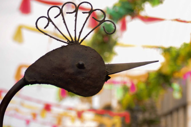 Aventura de Luz y Pasion