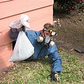 dead animal removal.jfif