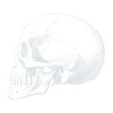 Crâne/maux de tête/migraines