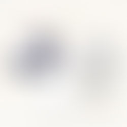  セファロ分析・分析結果の説明