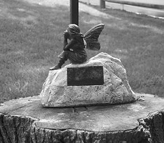 590AA376-D2AB-4800-ABDC-F1F9974A5982_4_5005_c.jpeg