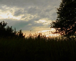 88508B65-A367-4E2B-B56F-06D451CB51DF_4_5005_c.jpeg