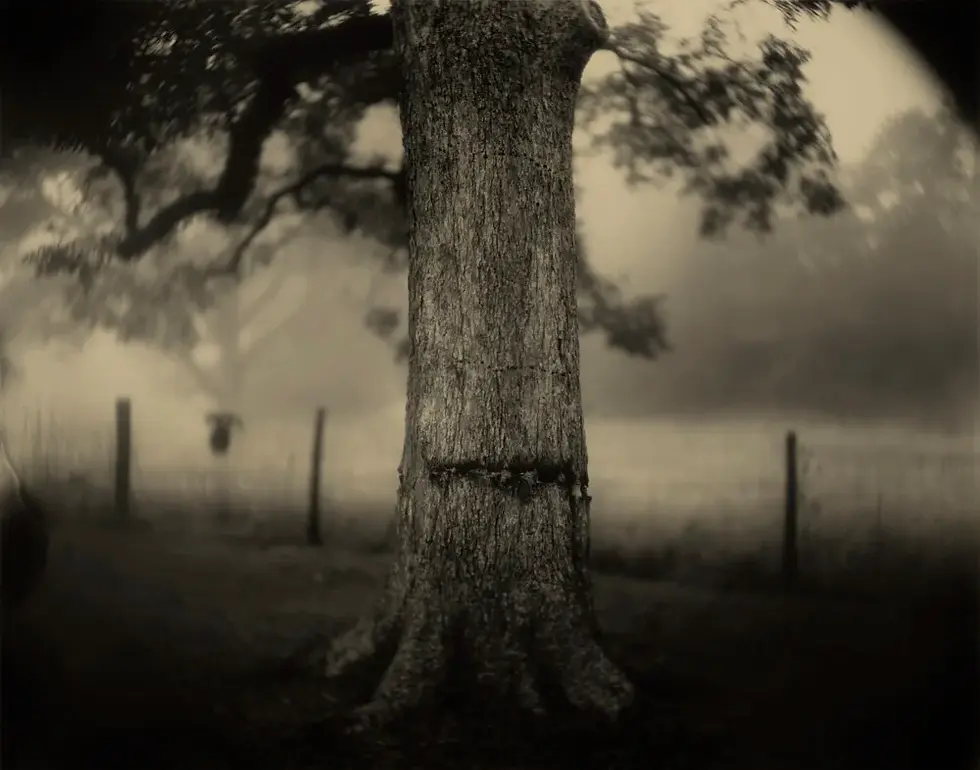 Photographed by Sally Mann