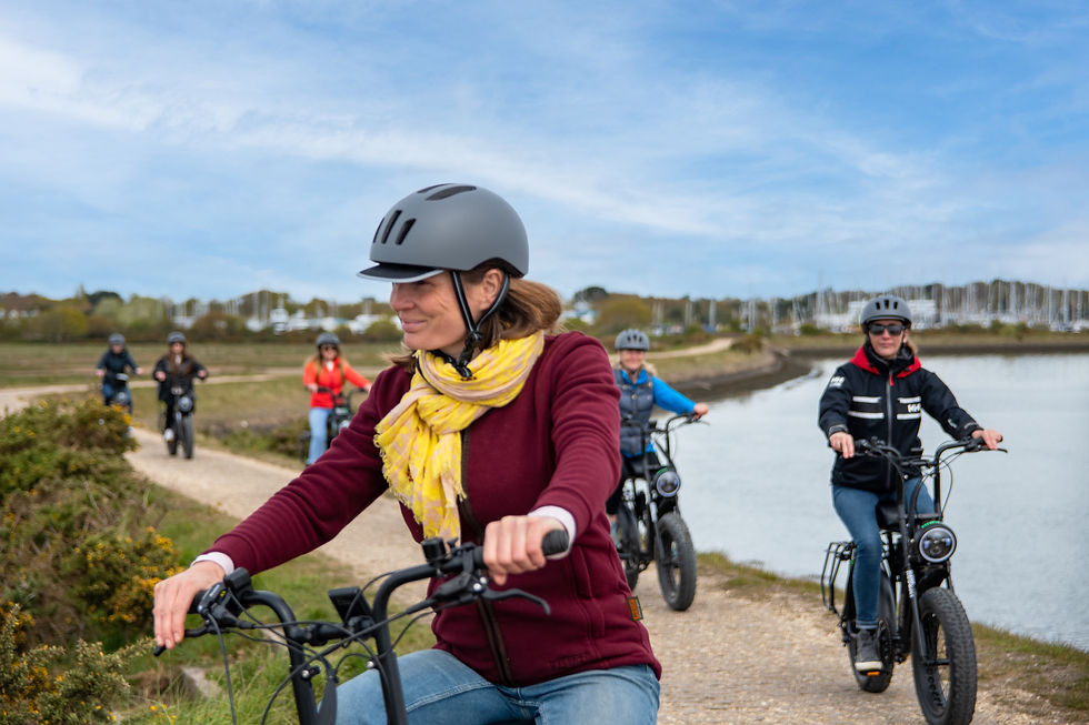 Jaunt E Bikes HR-5 2.jpeg