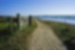 AdobeStock_35873858.jpeg