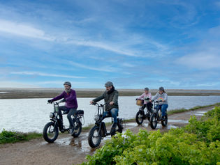 e-bikes cycling the coastal path