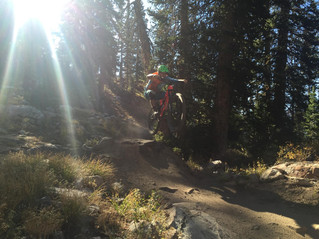 2017 Specialized Stumpjumber 29 FSR Expert Review