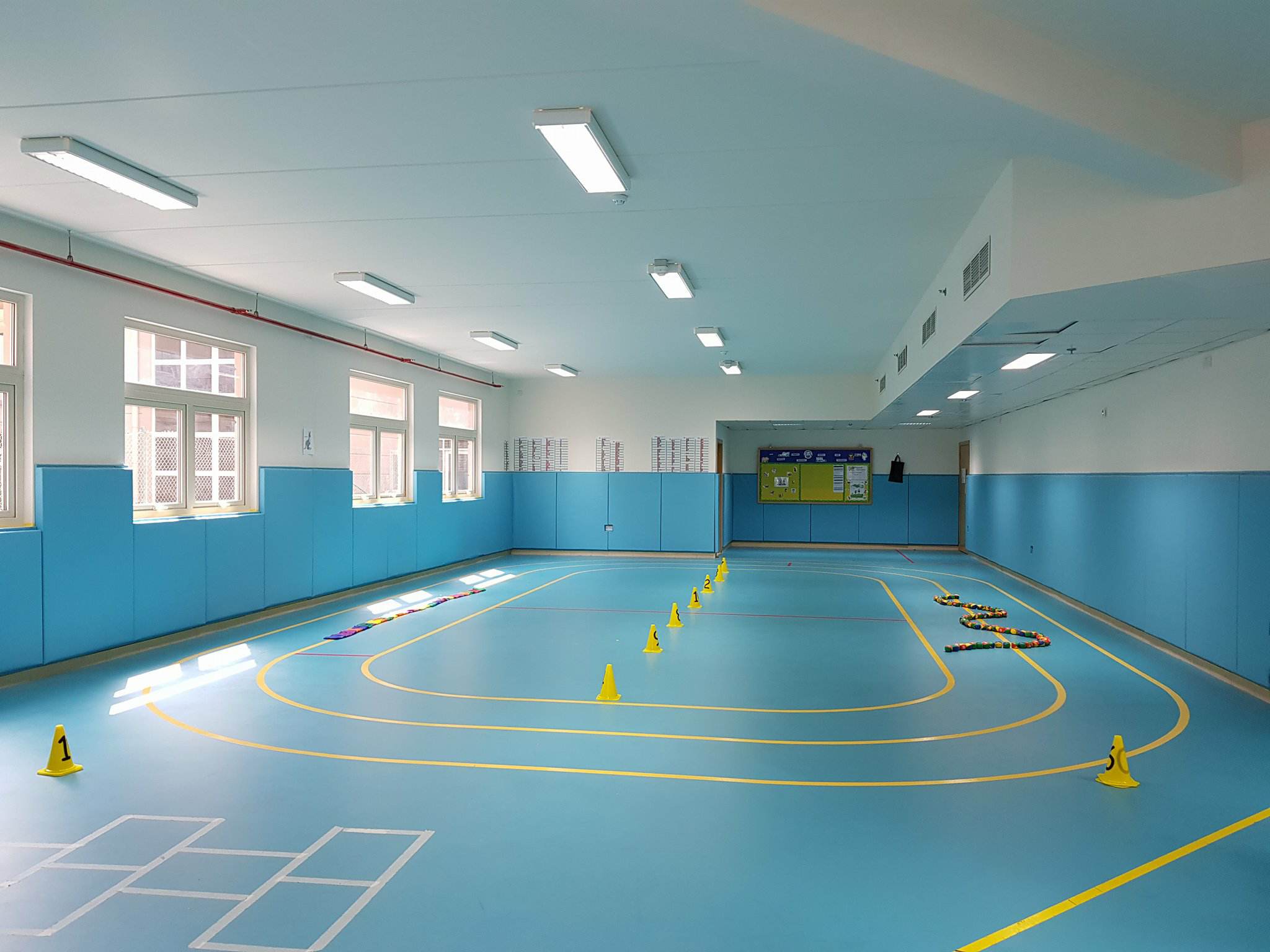 Locomotor Movement