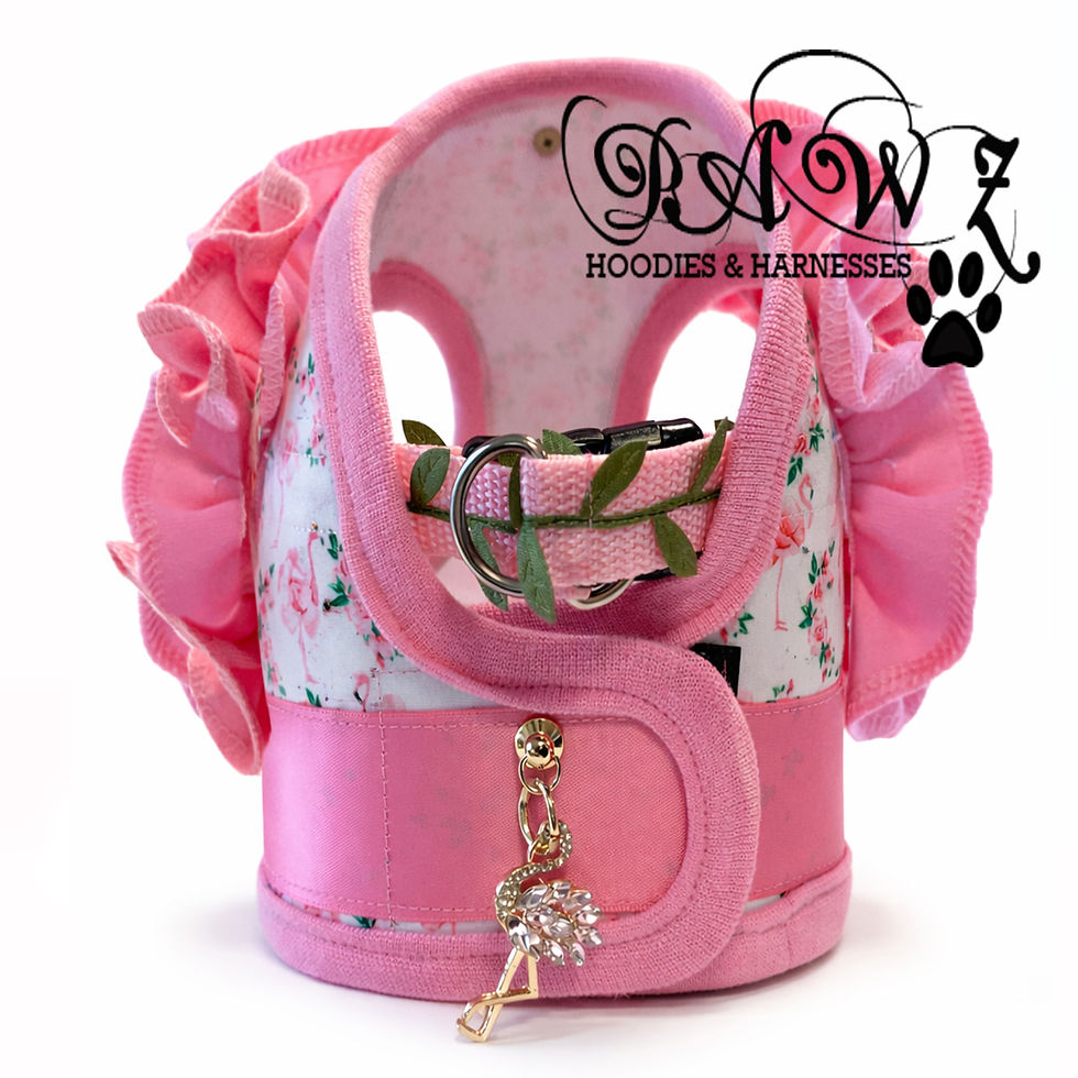 Thumbnail: Fancy Flamingo with Sleeve Step in Harness