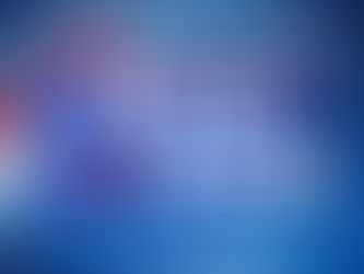 Local Election Results