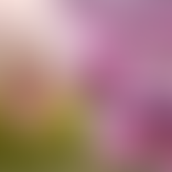 Solstice d'Été, Litha