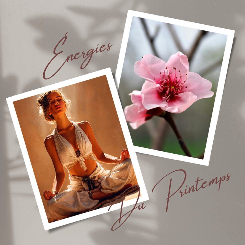 Art de vivre au Rythme des Saisons : le Printemps