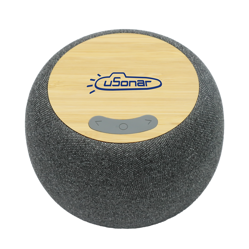 Thumbnail: Boomer Bamboo Wireless Speaker