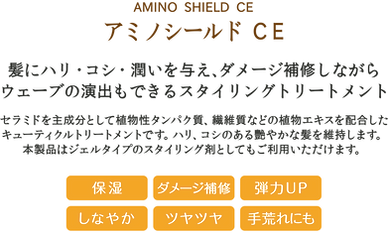 infoText_CE_B.png