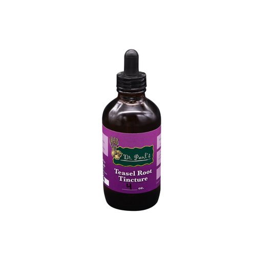 Teasel Root Tincture | Dr. Paul's Lab