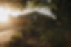 FortisSpiritual189.JPG